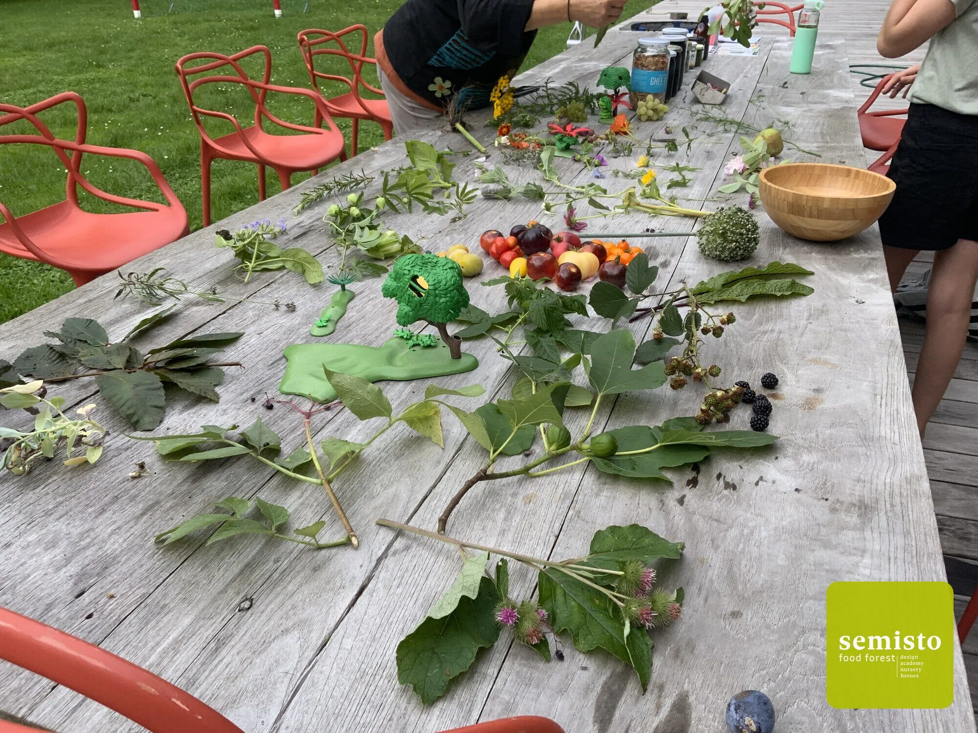 A family food forest in Anhée — vue 3