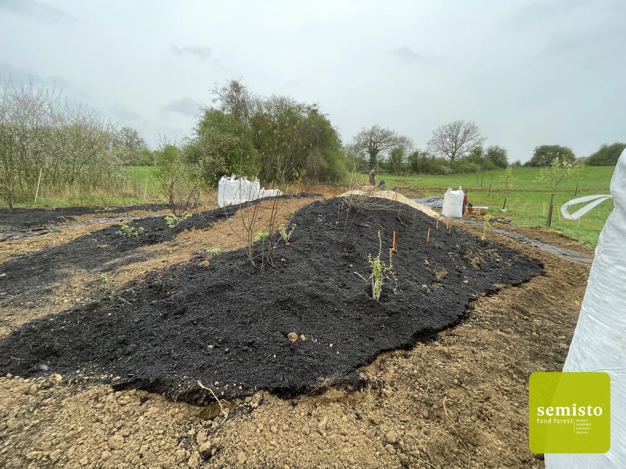 A family food forest in Anhée — vue 31