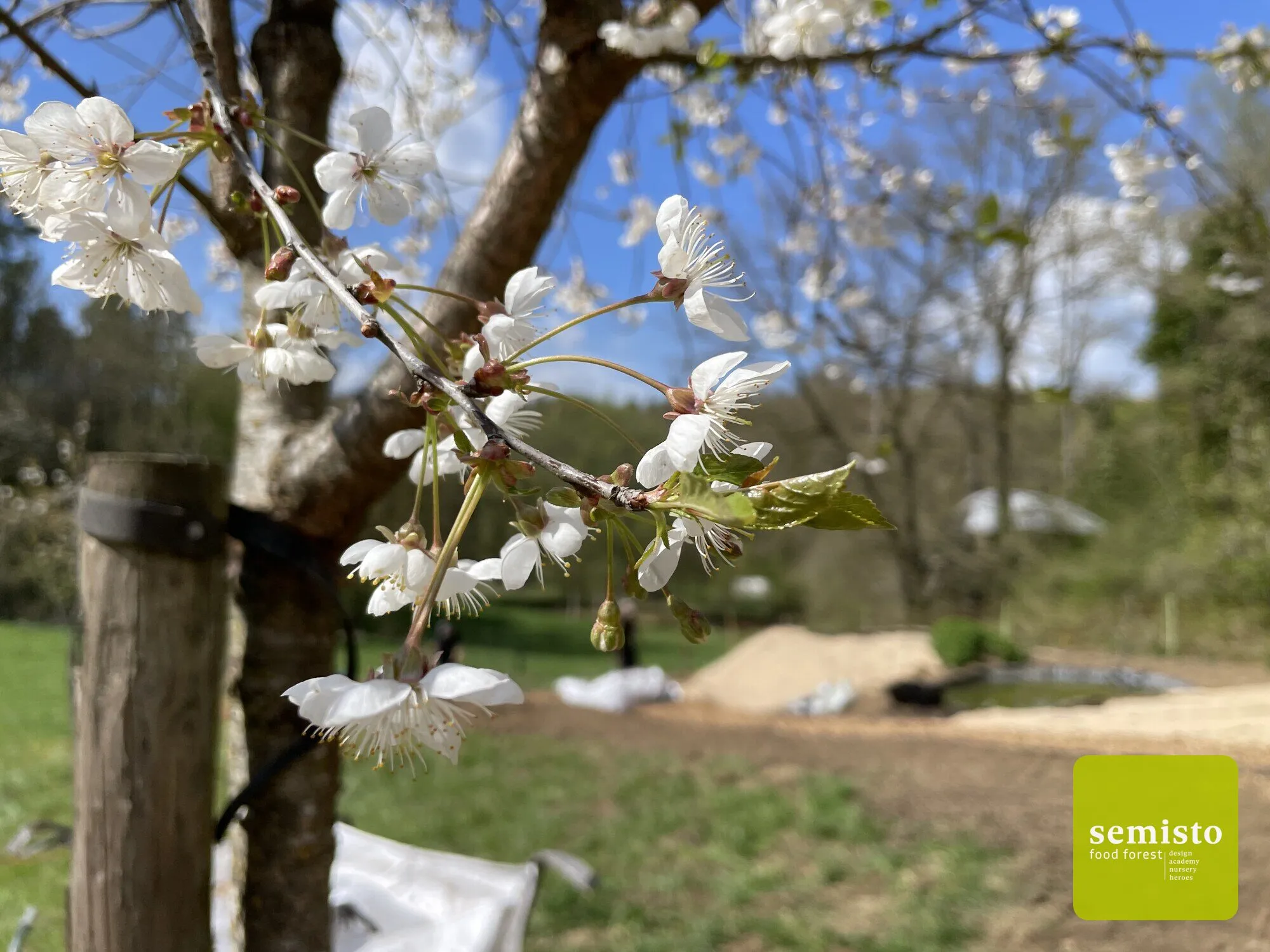 A family food forest in Anhée — vue 37