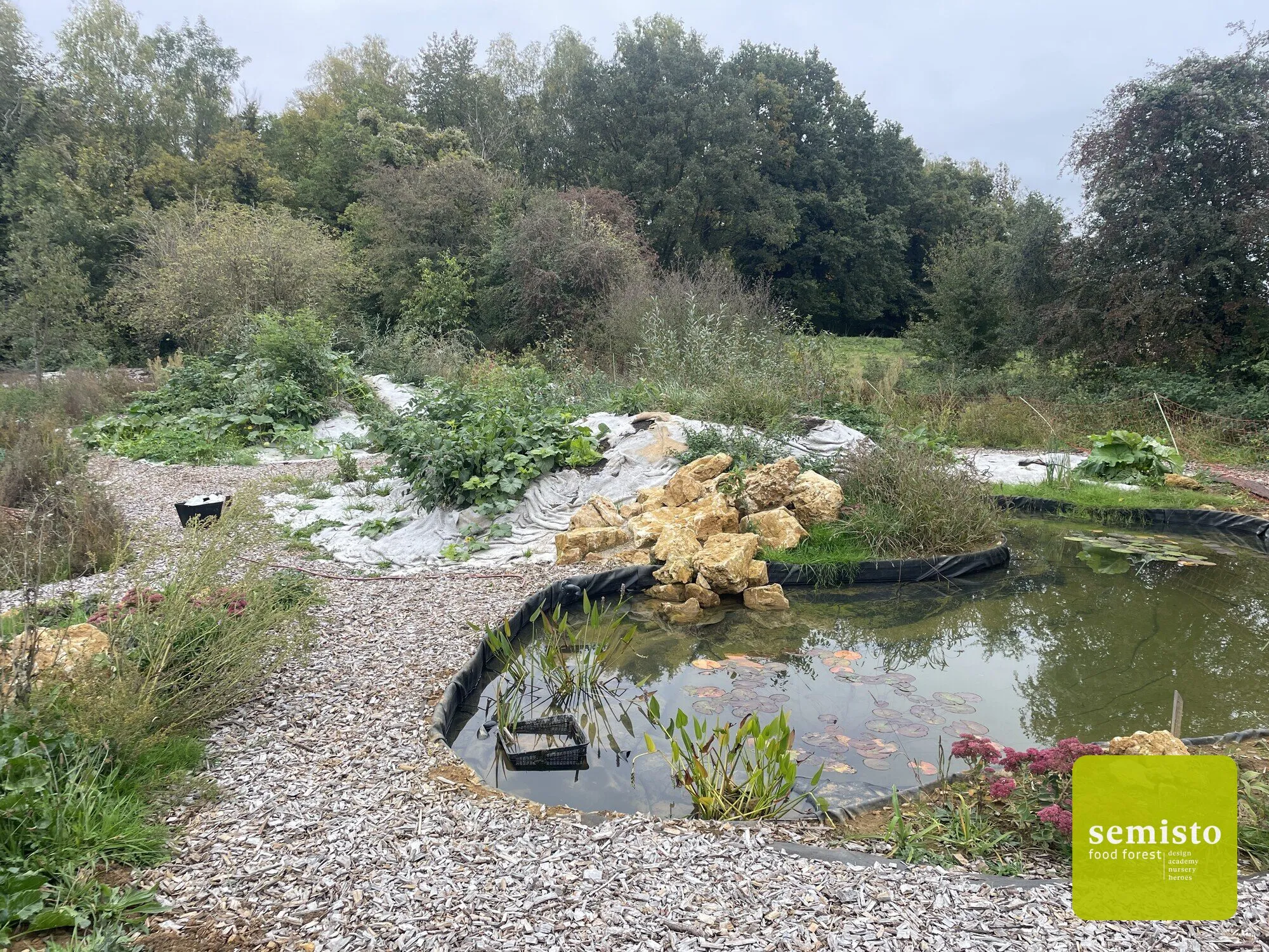 A family food forest in Anhée — vue 40