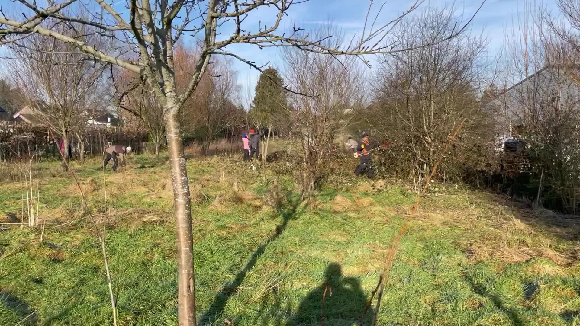 Entretien hivernal d'une jeune forêt-jardin, plusieurs personnes au travail entre les arbres