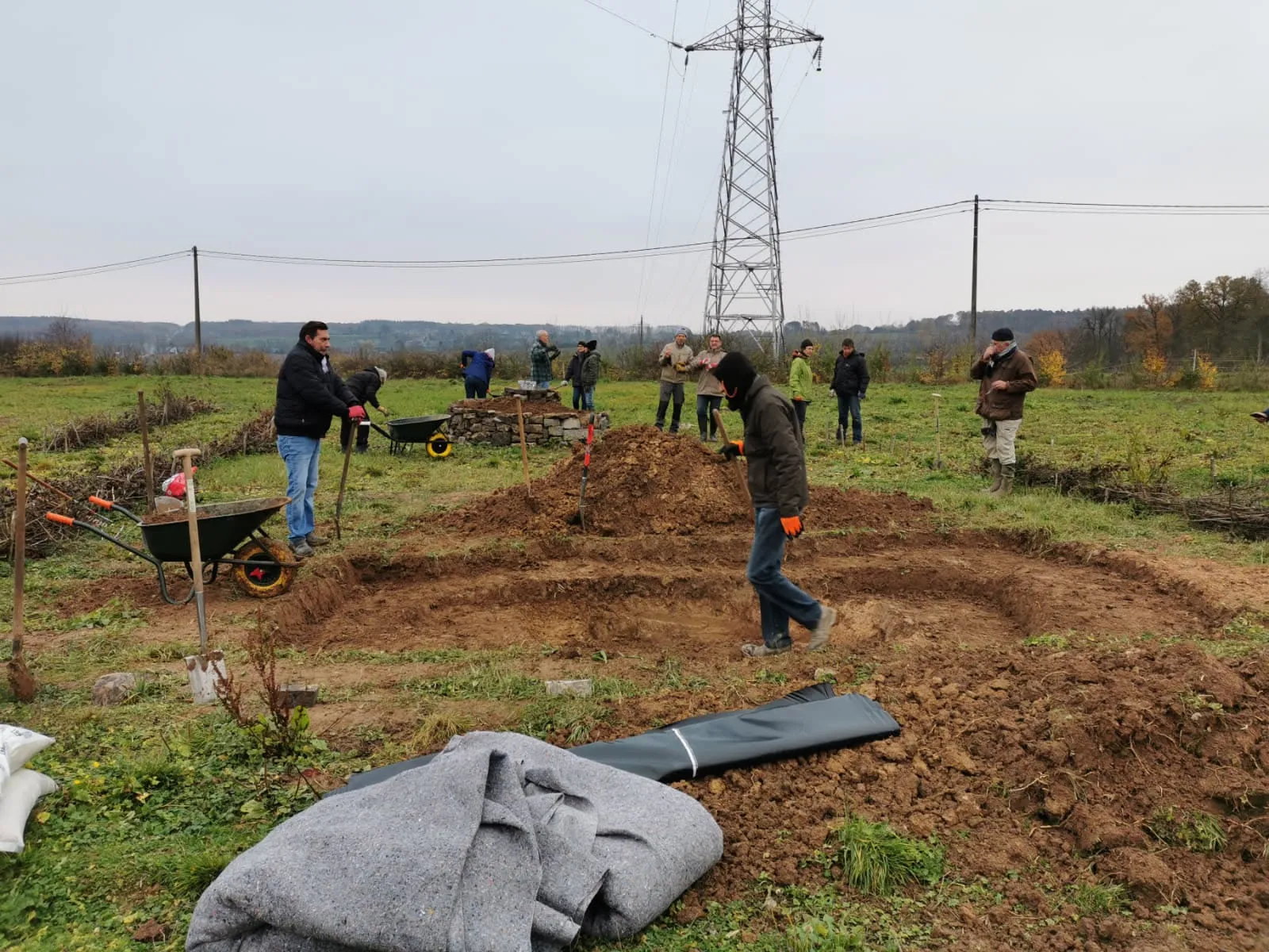 L'Europe va certifier le carbone des arbres agricoles : ce que le « carbon farming » change pour nos haies