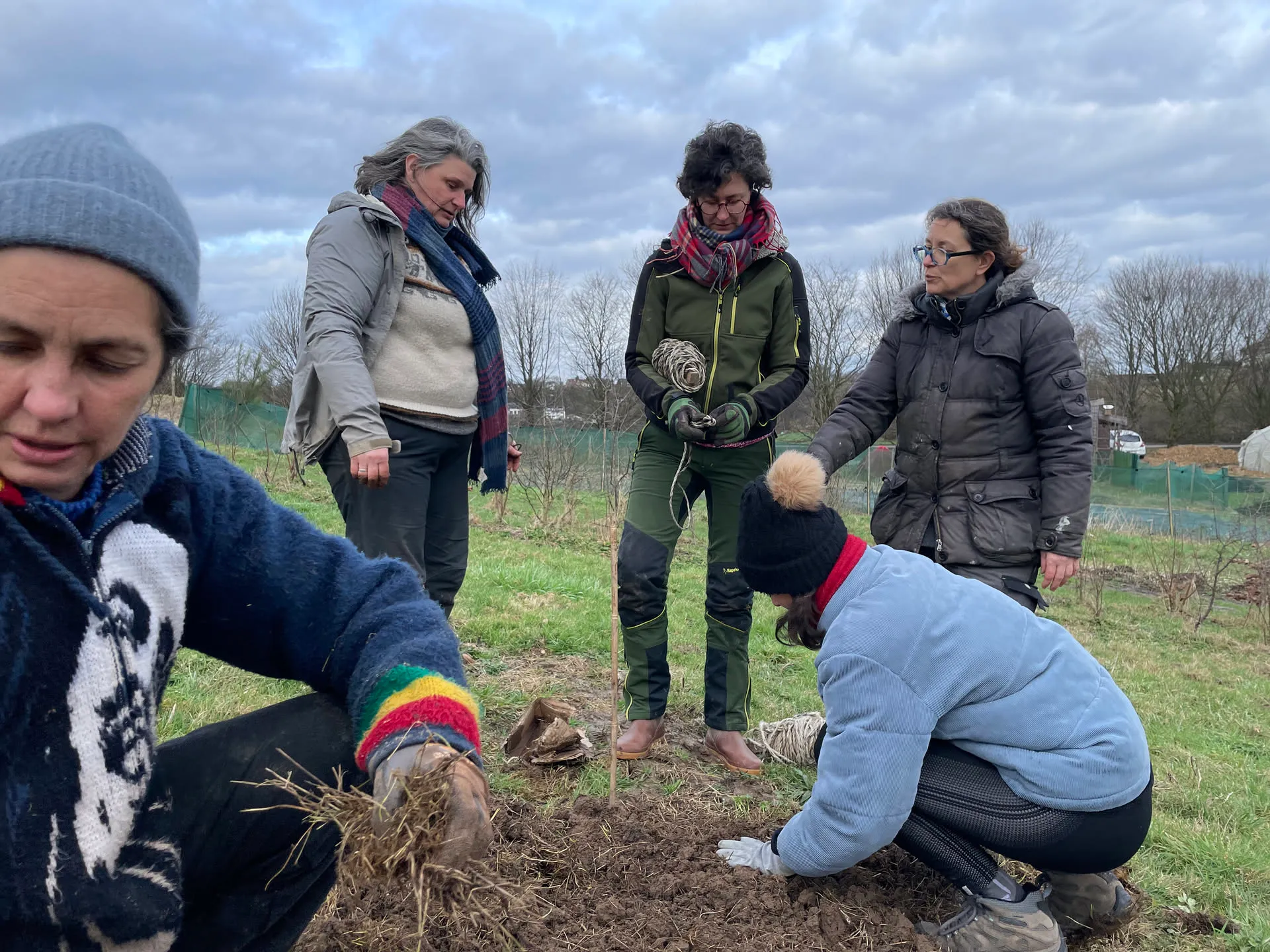 Plantation d'arbres à racines nues en hiver, mains posant un jeune plant