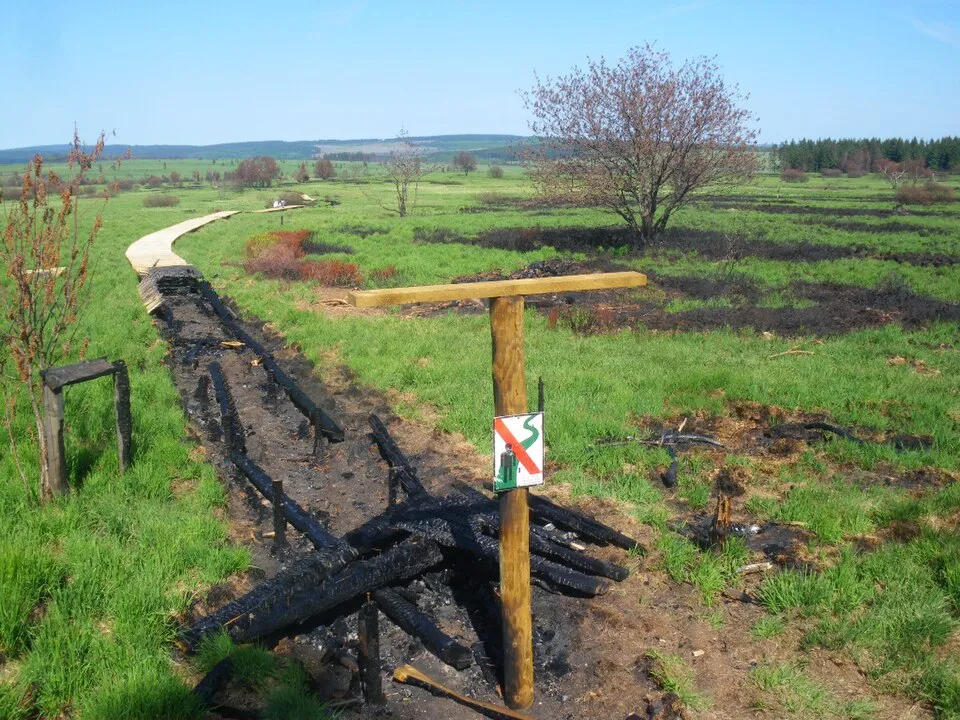 Un caillebotis calciné le long d’un sentier, entouré d’une lande déjà reverdie, dans la vallée de la Helle en mai 2011