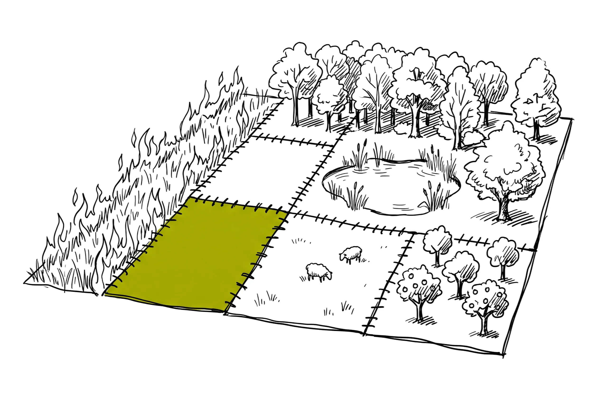 Illustration au trait : un paysage cousu comme un patchwork de bois, de mare, de prairie pâturée et de verger ; le feu qui court dans les herbes sèches s’arrête net à la couture d’une prairie humide
