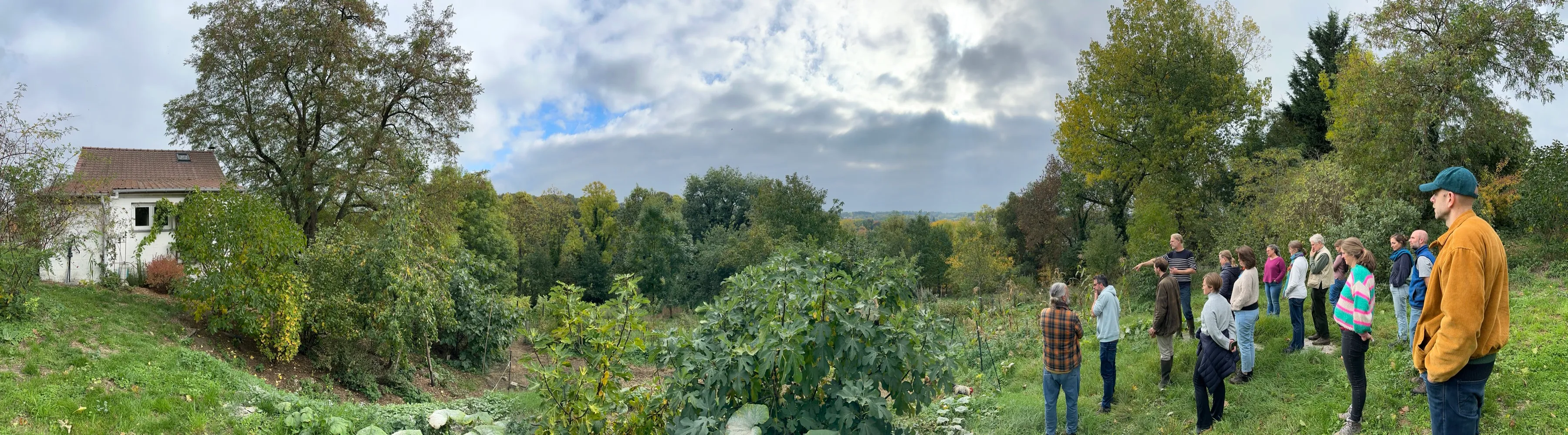 Le groupe réuni sur un terrain en automne, à l’écoute du formateur — vue panoramique