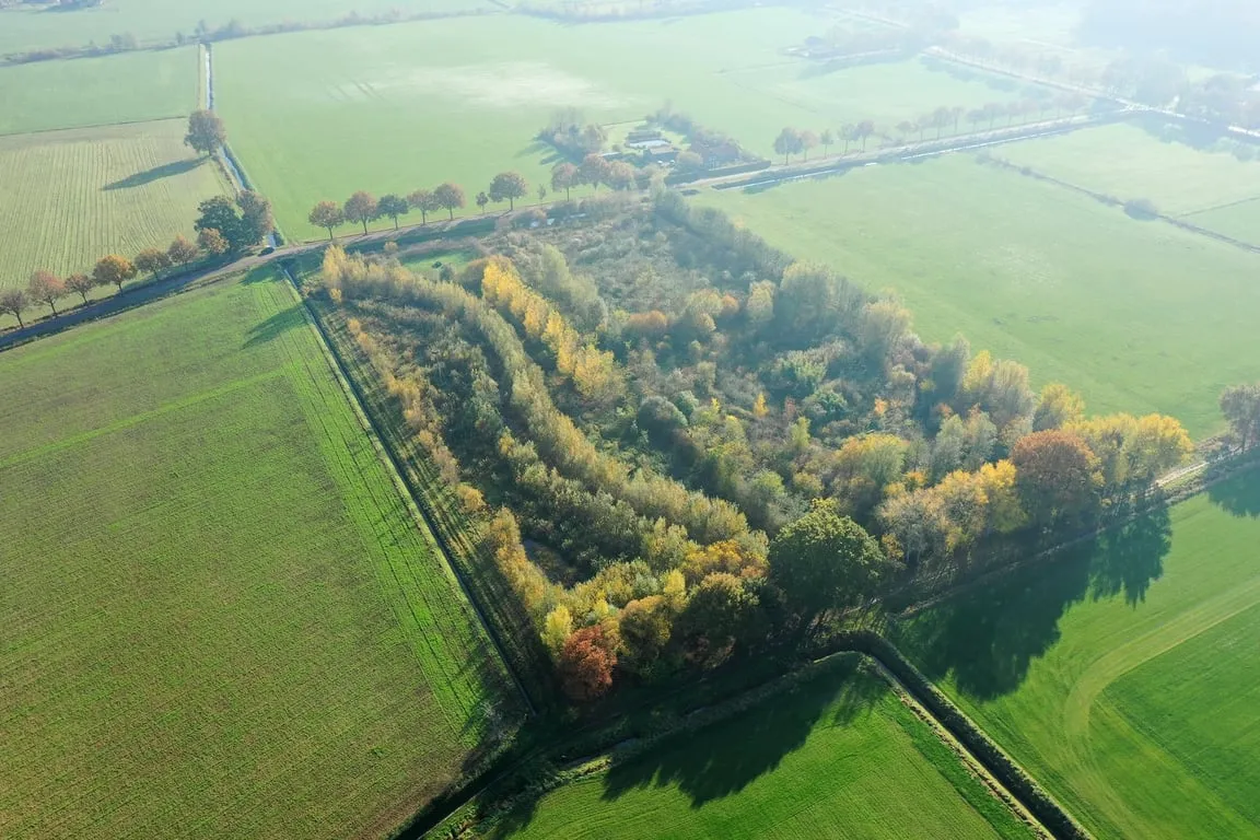 La forêt comestible Ketelbroek à Groesbeek, aux Pays-Bas