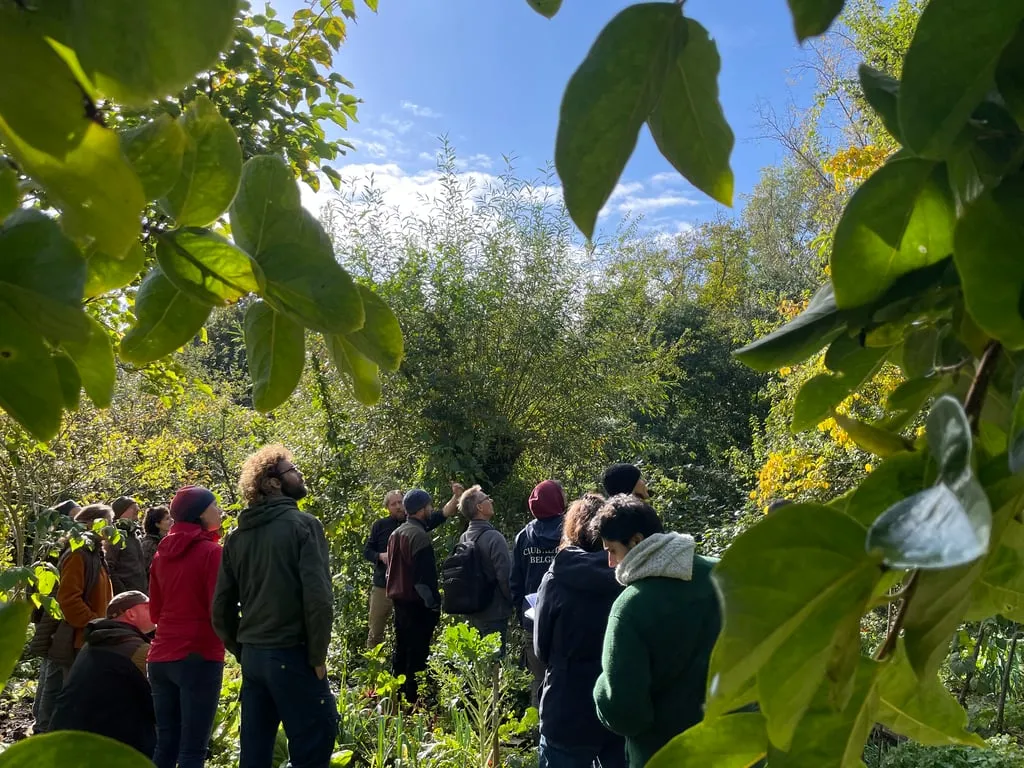 Jardin-forêt pour professionnels du paysage