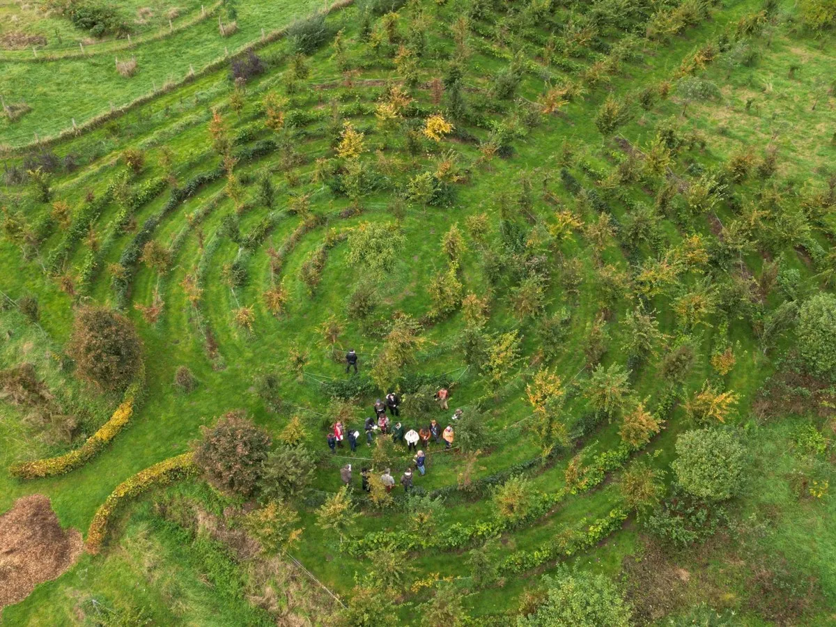 Forêt-jardin Semisto