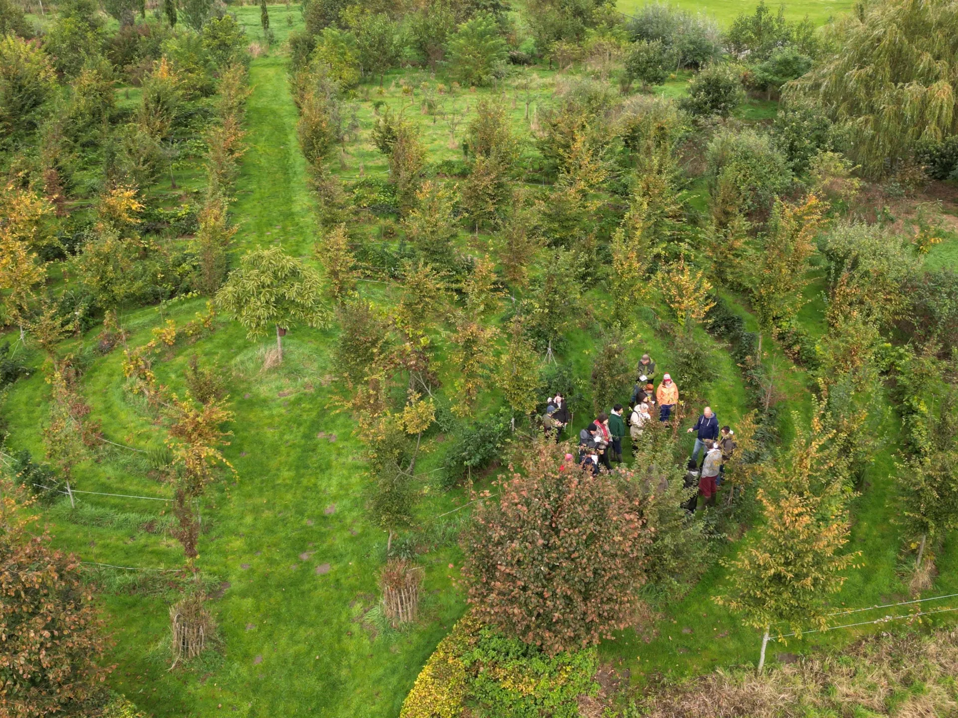 A Semisto Academy training session in the field