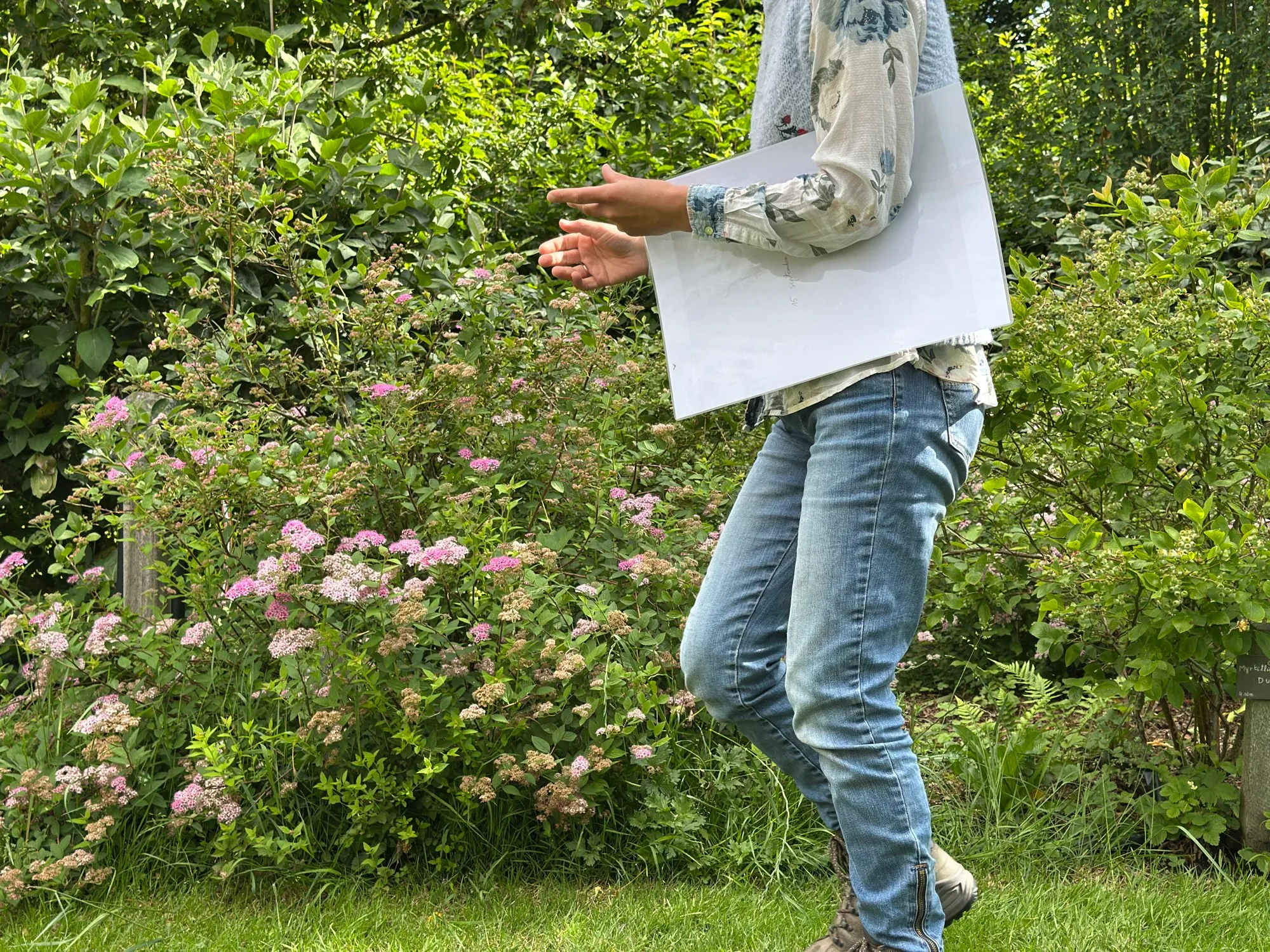 On a site visit, food forest plans in hand, among flowering edible shrubs