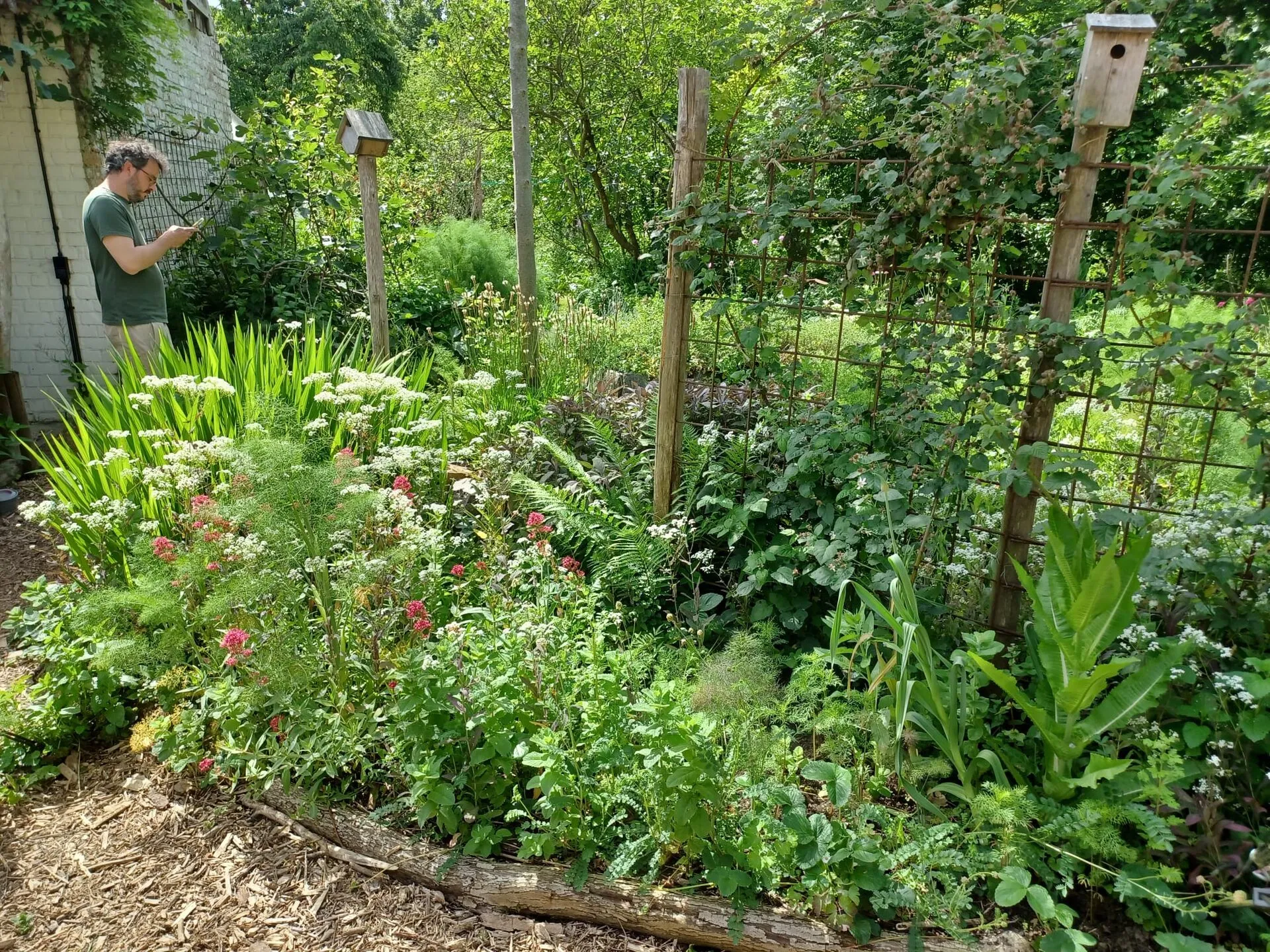 Forêt-jardin de particulier conçue par Semisto