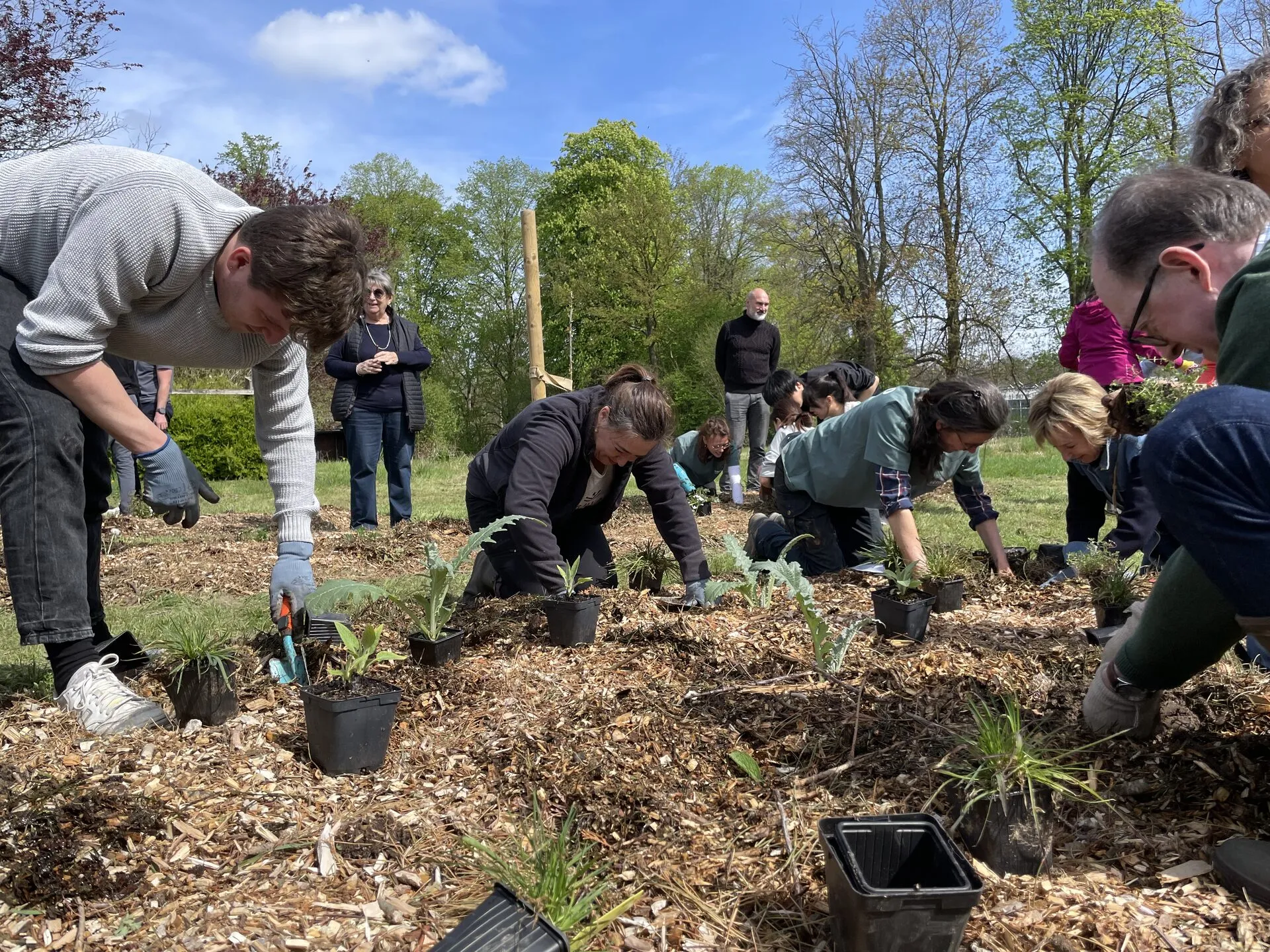 Un chantier participatif de plantation, en groupe