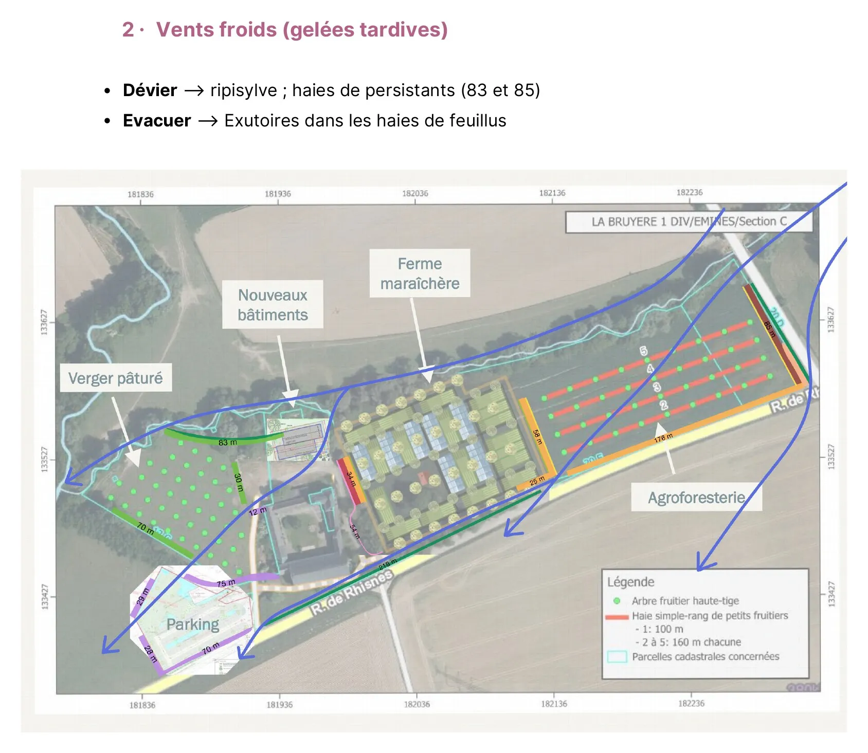 The nourishing hedgerows of Hulplanche farm — vue 2