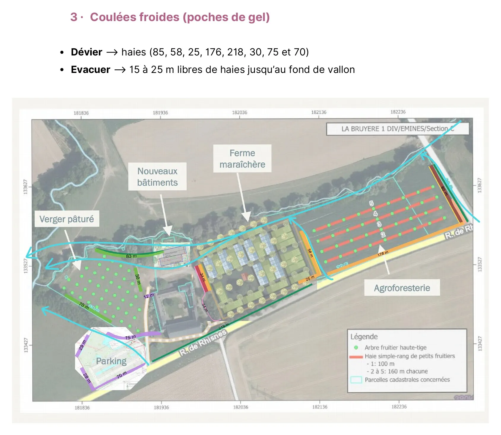 The nourishing hedgerows of Hulplanche farm — vue 3