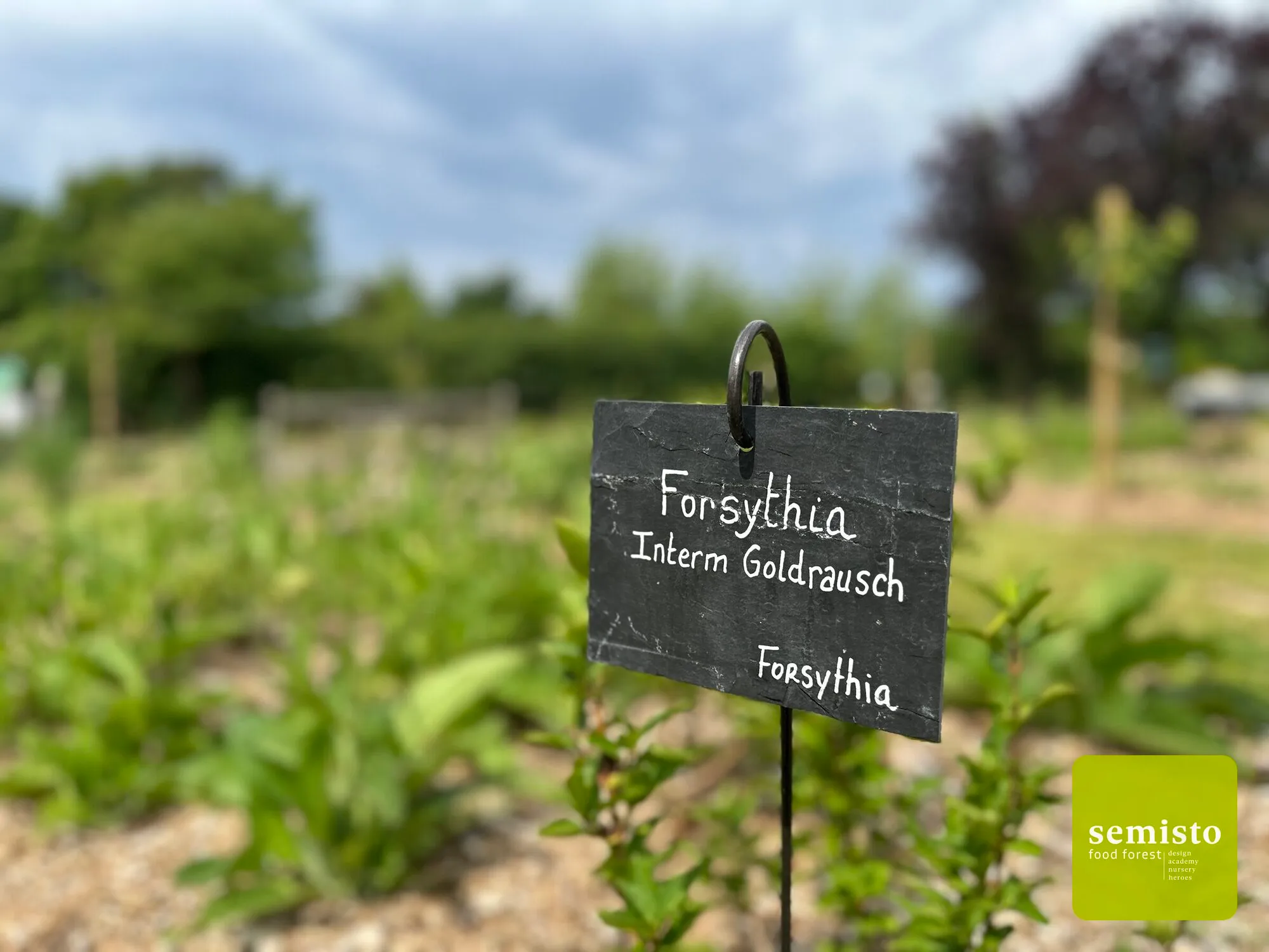 Food forest at the Queen Elisabeth Music Chapel — vue 8