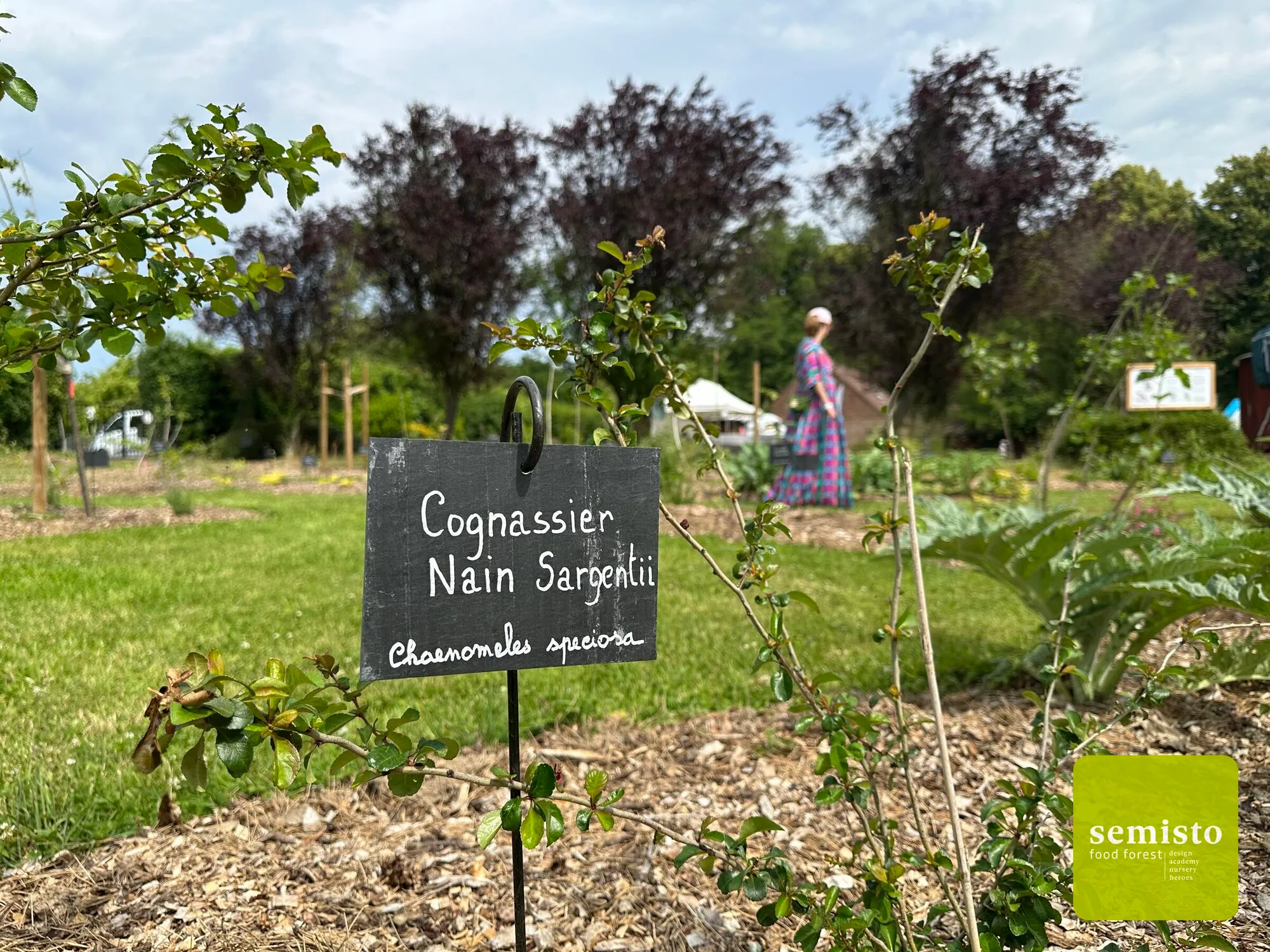 Food forest at the Queen Elisabeth Music Chapel — vue 9