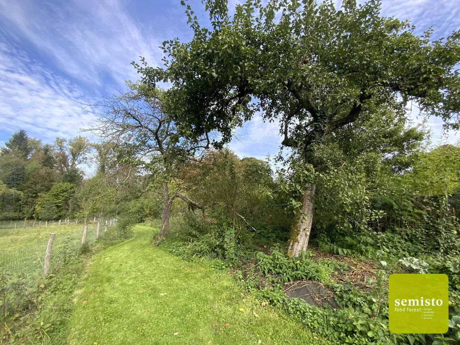 Manu's edible trail — vue 3