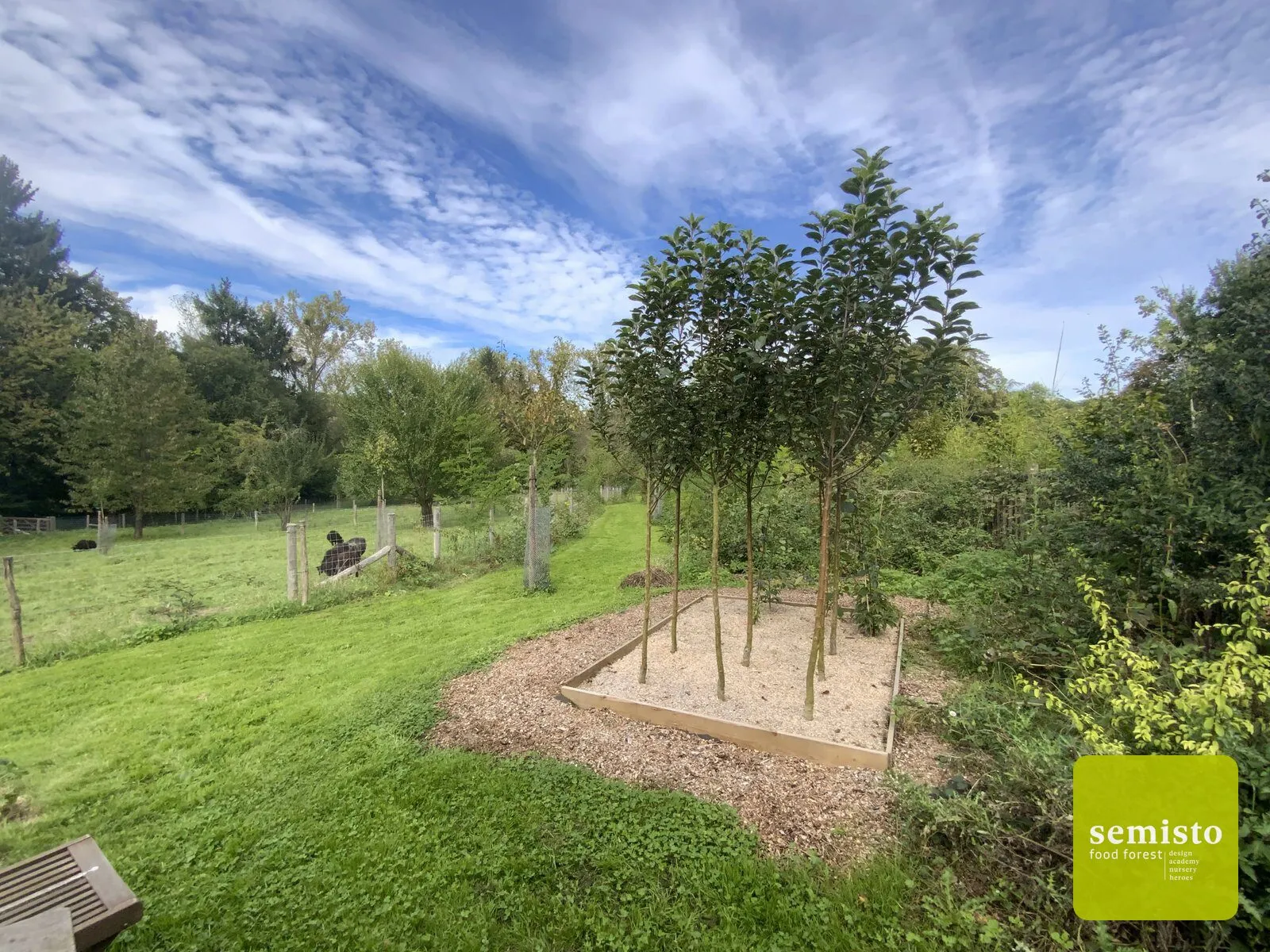 Manu's edible trail — vue 8