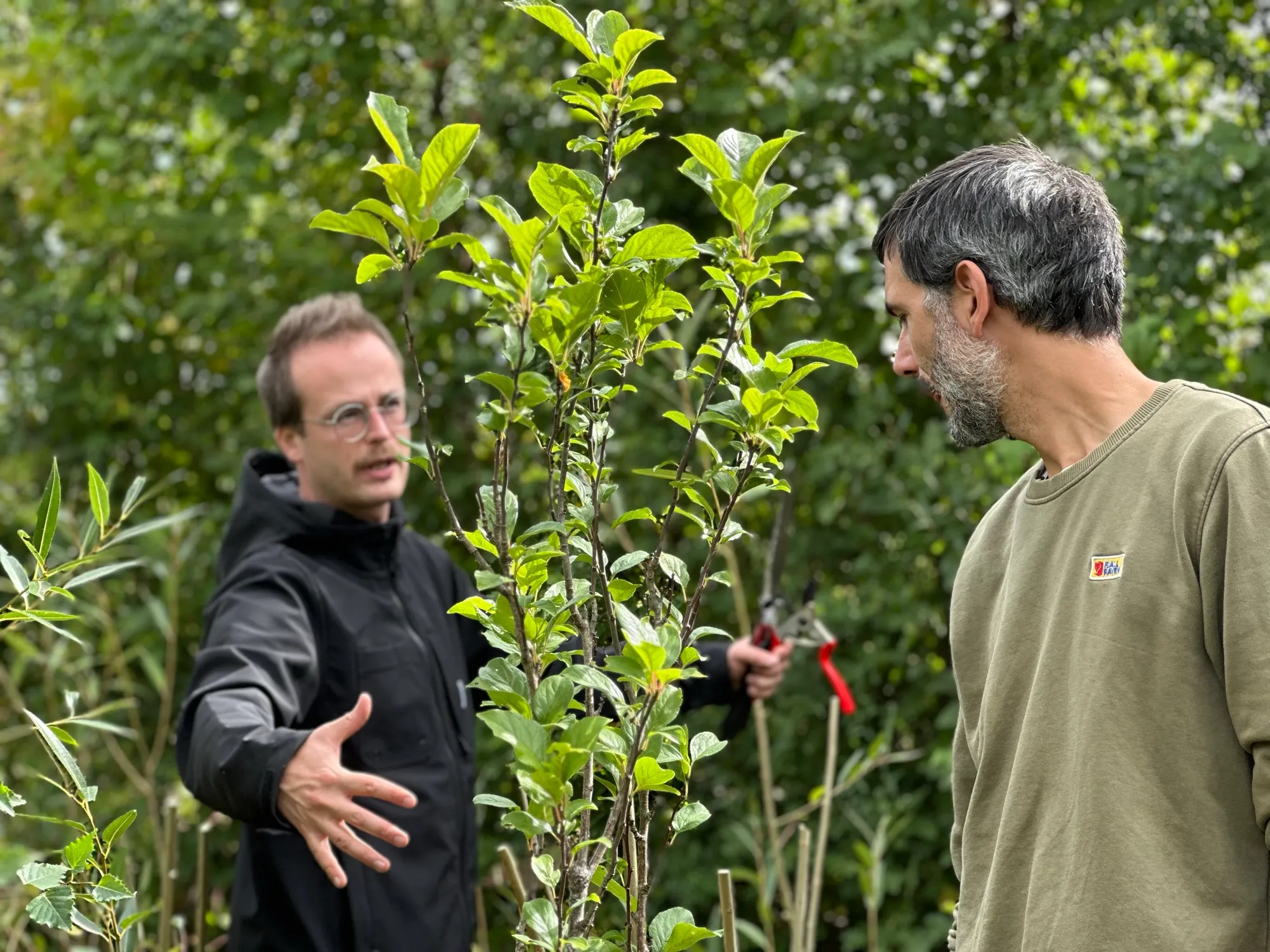 Deux membres de l'équipe Semisto examinent un jeune fruitier du jardin-forêt