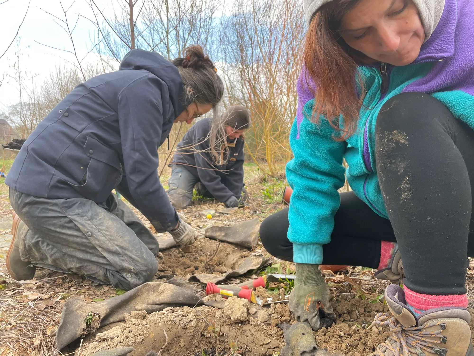 Trois personnes agenouillées plantent des vivaces à travers la bâche biodégradable