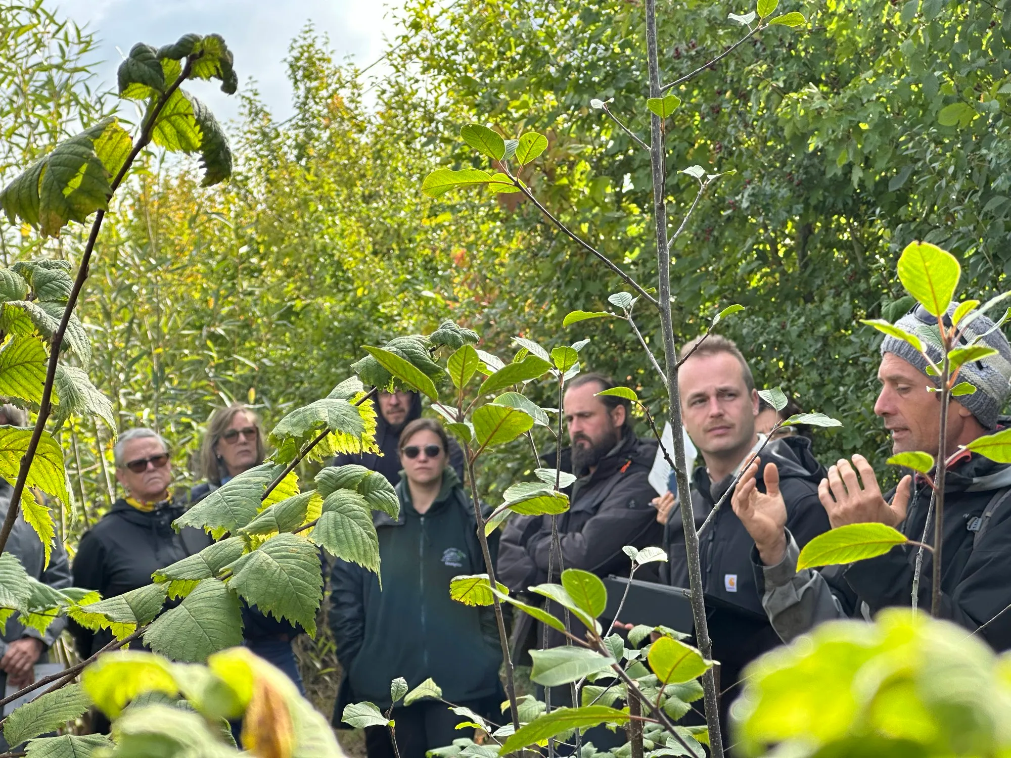 Un groupe en visite guidée au milieu des jeunes arbres du jardin-forêt
